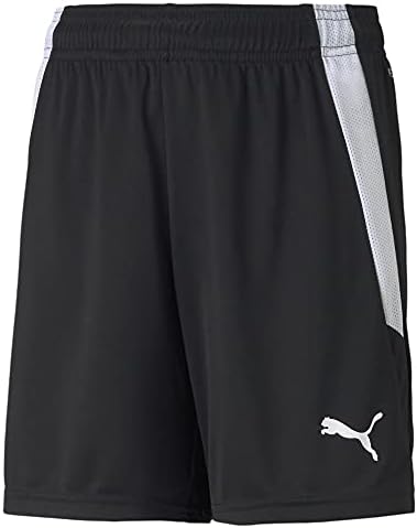 drying PUMA Boys Teamliga Shorts