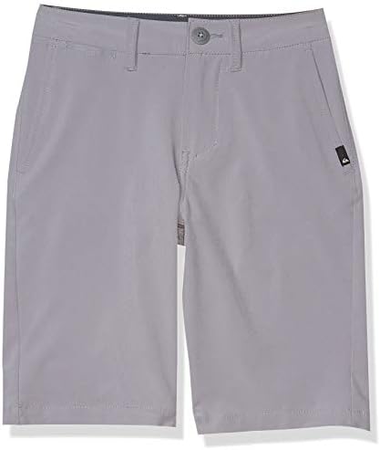 Quiksilver Boys Amphibian Swam