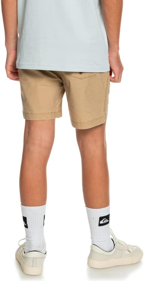 Quiksilver Boys Taxer Ws Youth Shorts