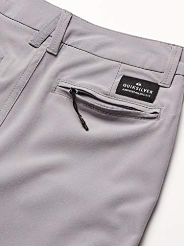 Quiksilver Boys Amphibian Swam