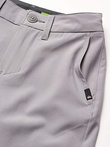 Quiksilver Boys Amphibian Swam