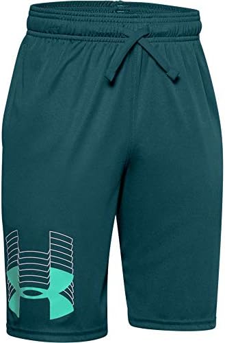 Under Armour Boys Prototype Logo Shorts