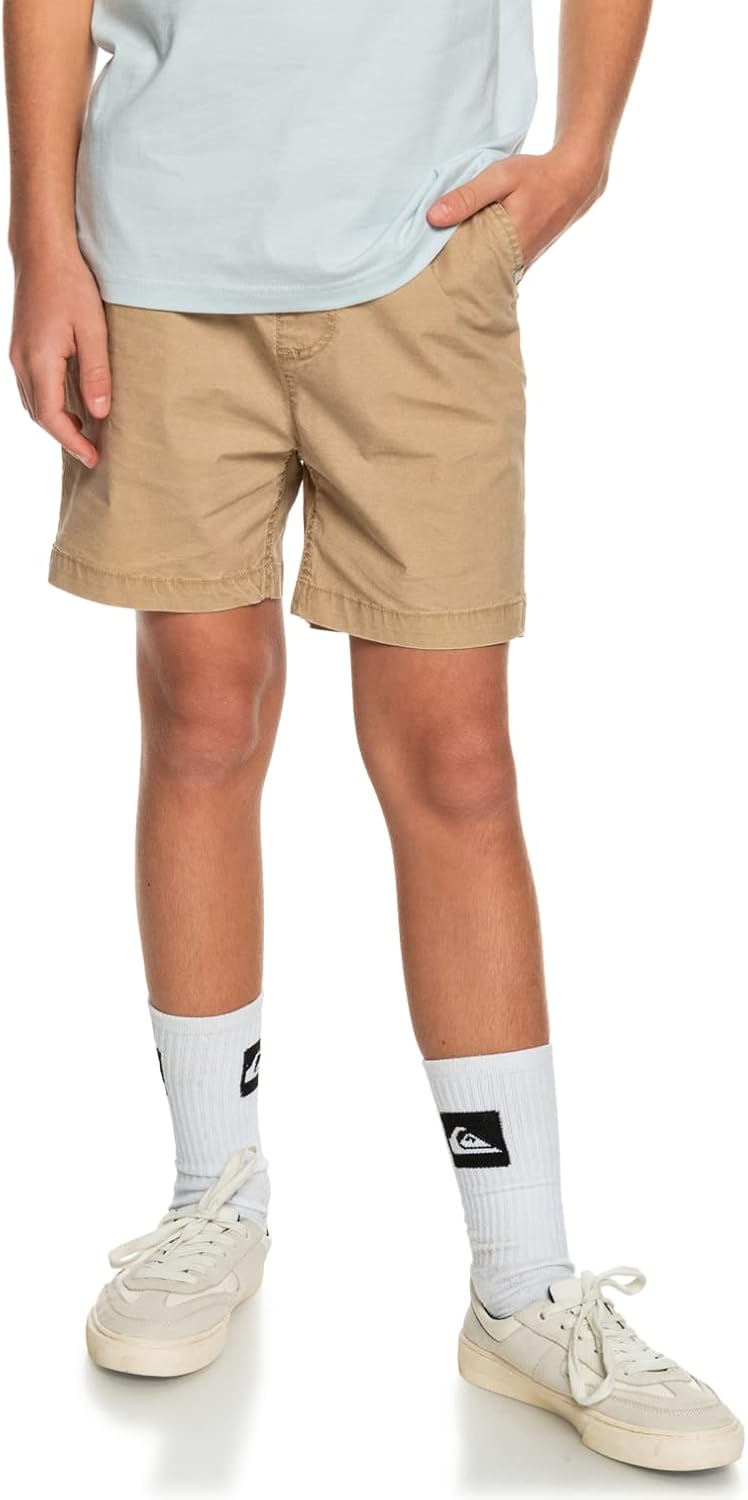 Quiksilver Boys Taxer Ws Youth Shorts
