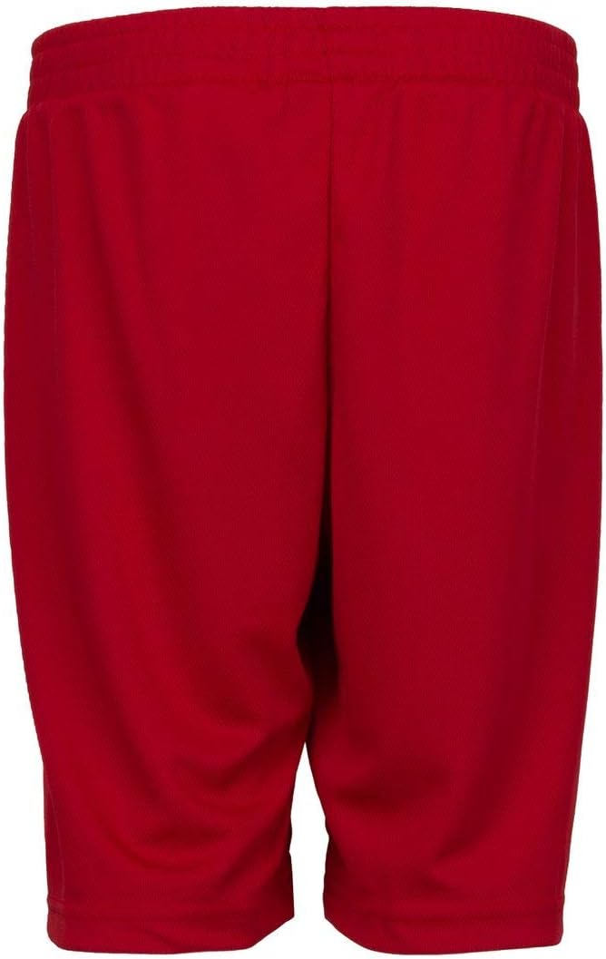 Nike Jordan Shorts for Big Kids