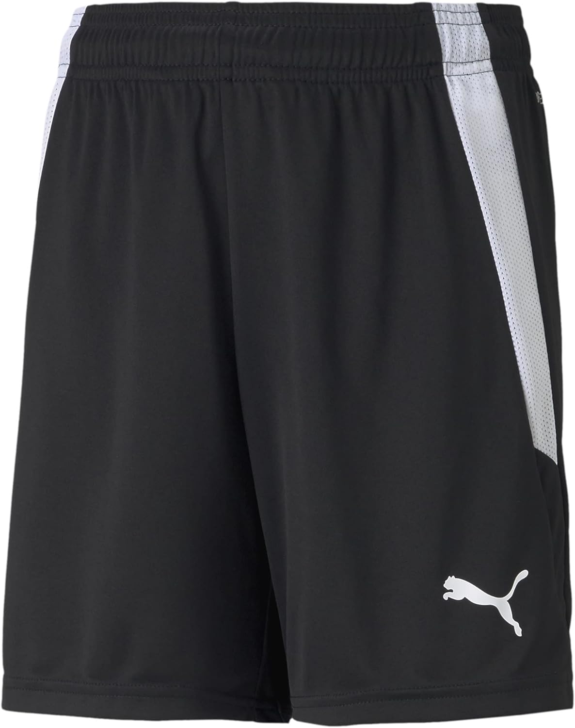 drying PUMA Boys Teamliga Shorts