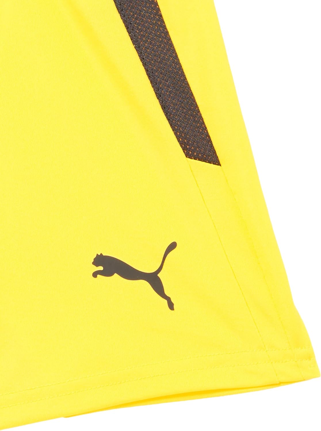 PUMA Boys Teamliga Shorts Regular Fit